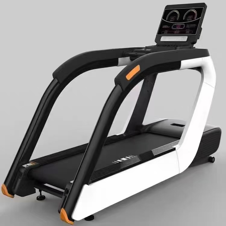 Recumbent / Upright Bike